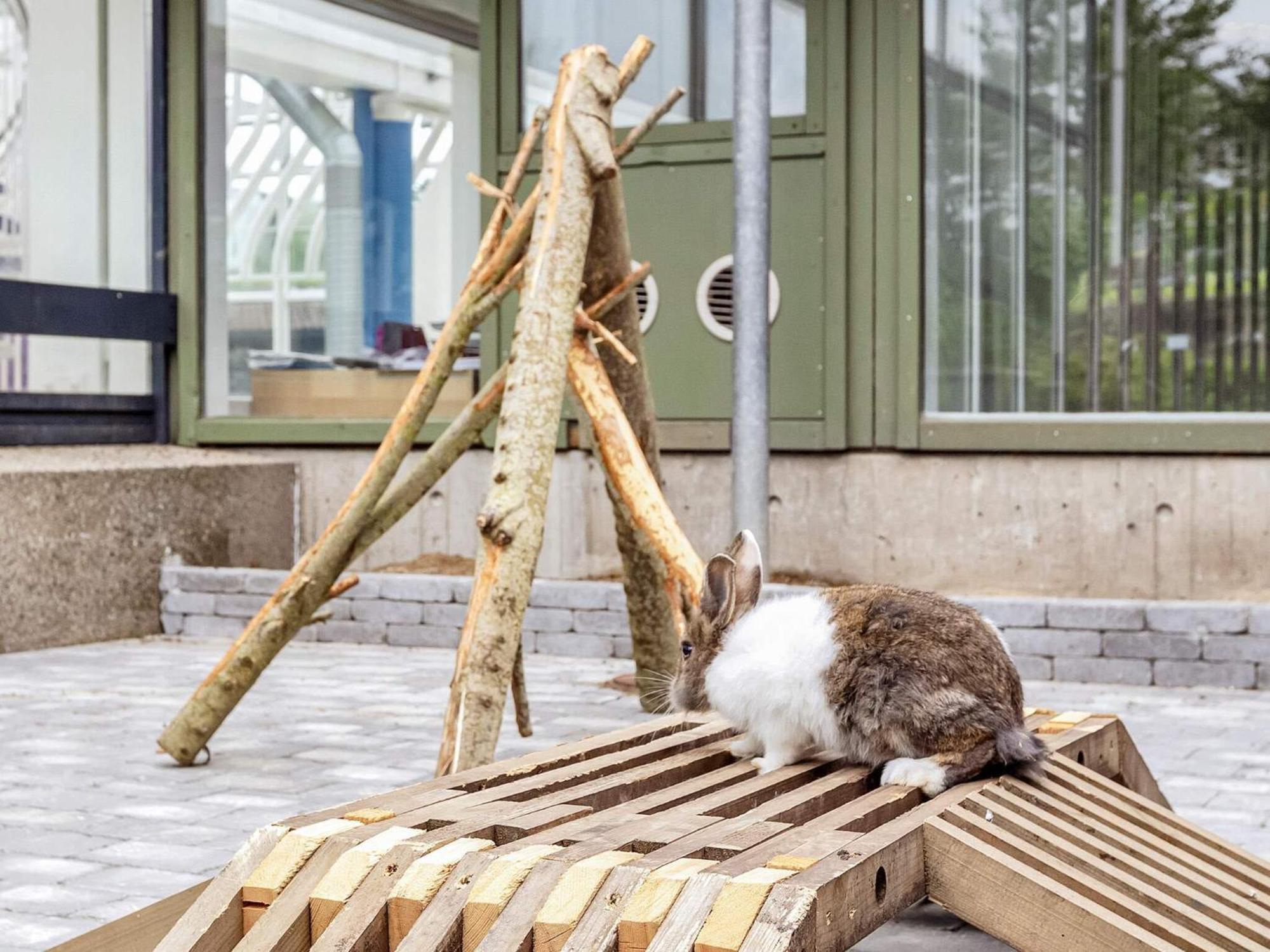 6 Person Holiday Home On A Holiday Park In ハンストホルム エクステリア 写真