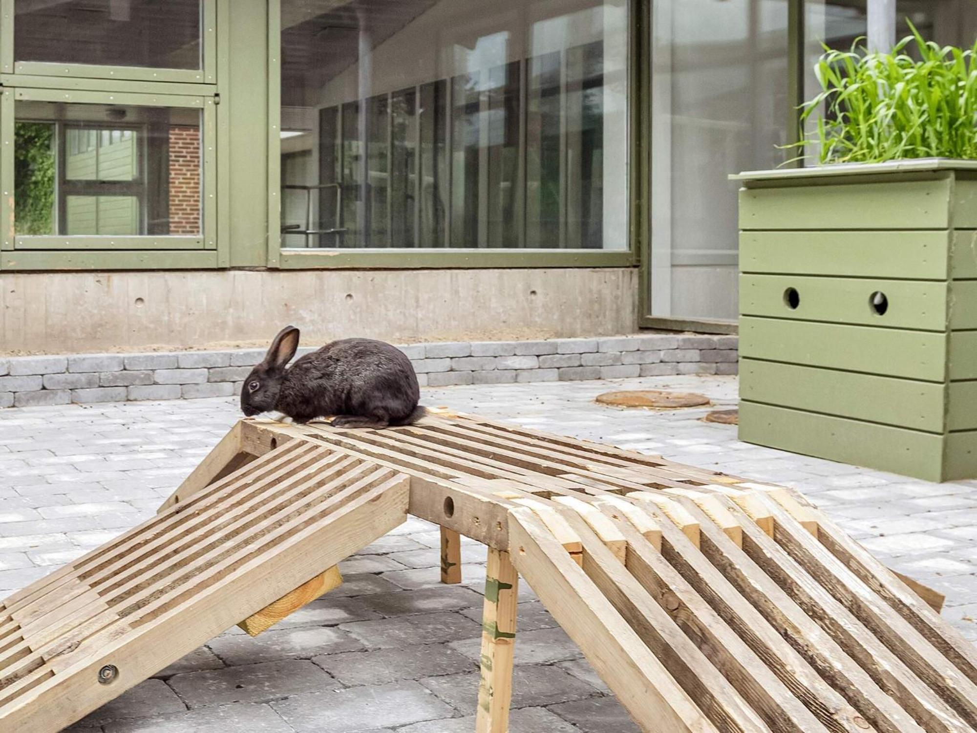 6 Person Holiday Home On A Holiday Park In ハンストホルム エクステリア 写真